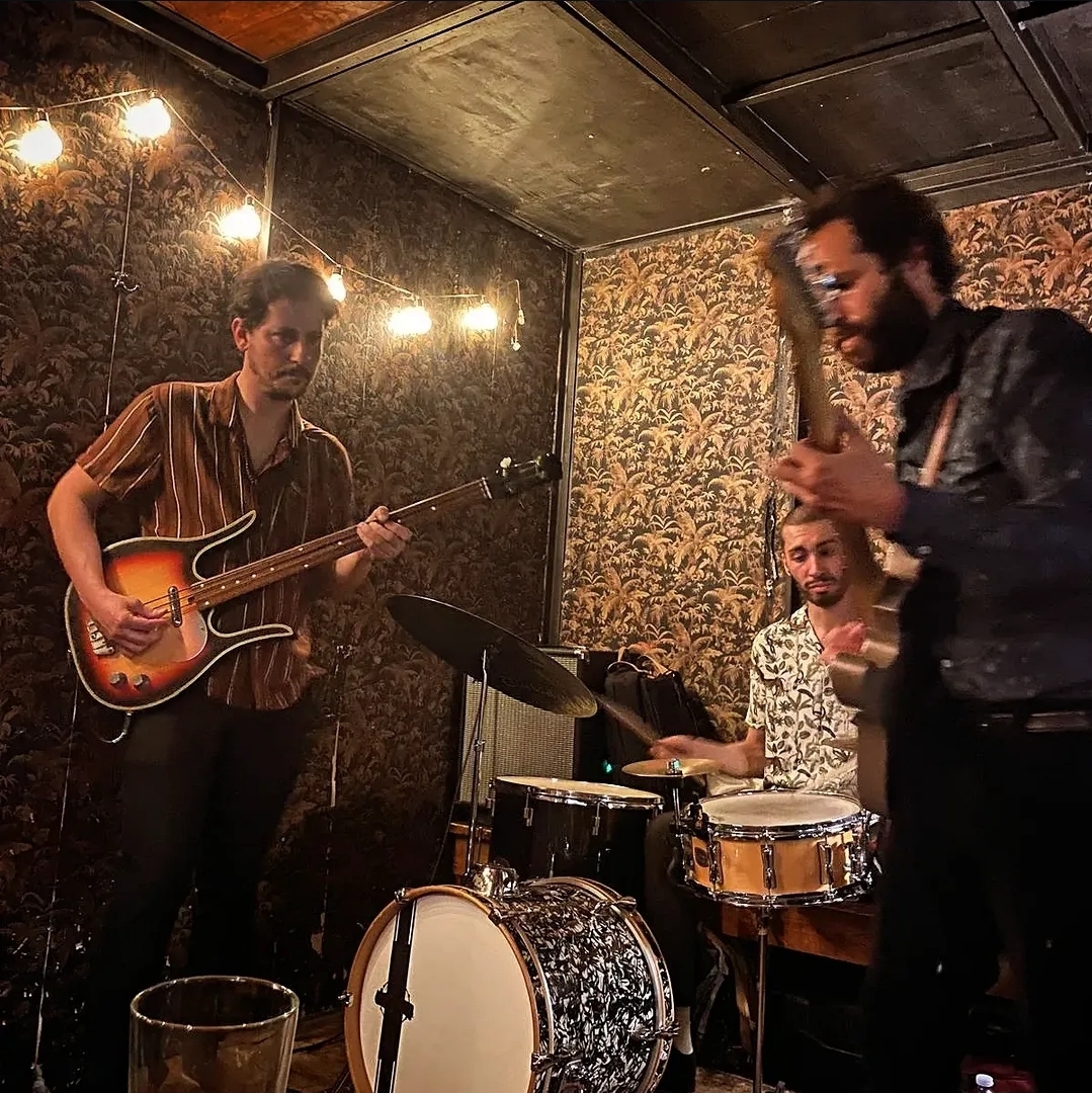 FreeCoolCats studio
